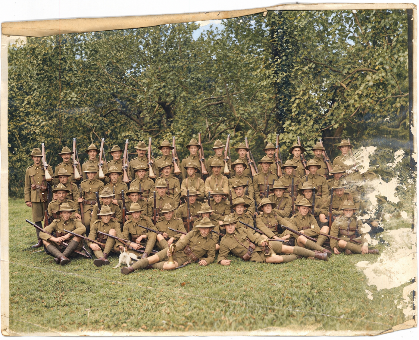 Remembering Bro William John Pritchard Guiness | 17 November 1916